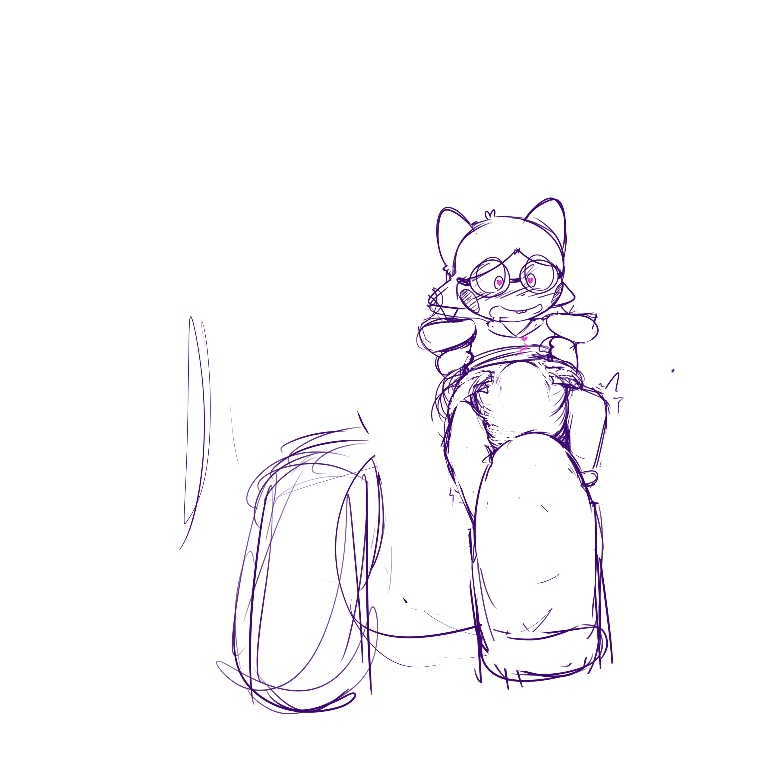 pachi.jpg